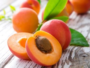 Apricot