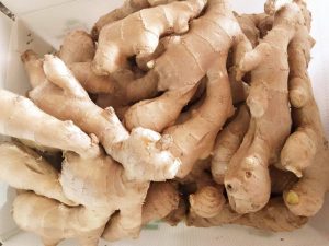 GINGER