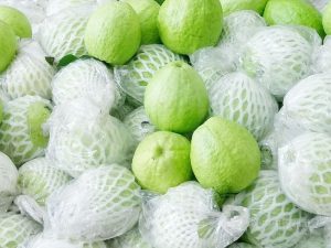 Guava