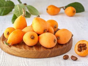Loquat