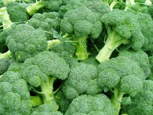 BROCCOLI