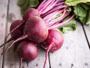 BEETROOT